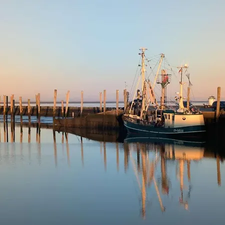 Grosse Warf Mit Rasenflaeche 오크홀름