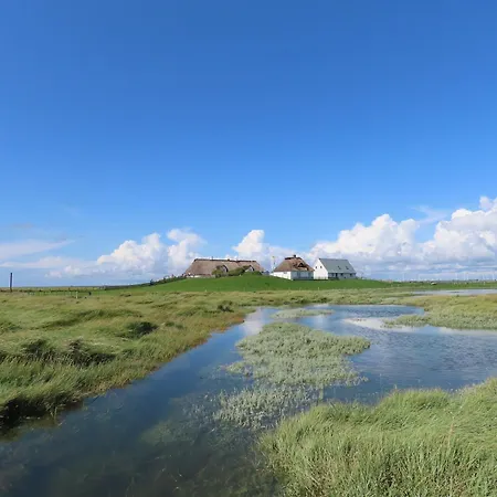 Grosse Warf Mit Rasenflaeche 아파트 *