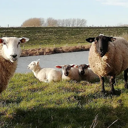 Grosse Warf Mit Rasenflaeche 아파트 오크홀름