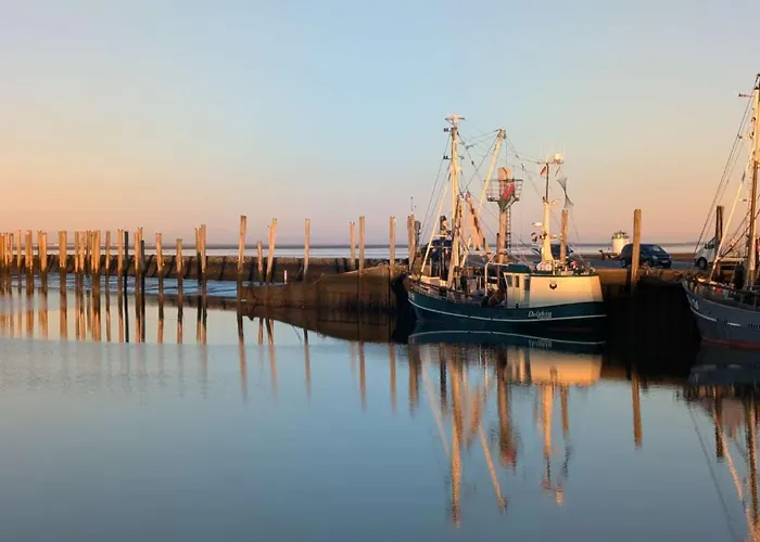 Grosse Warf Mit Rasenflaeche Ockholm