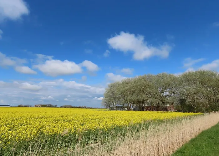 Grosse Warf Mit Rasenflaeche * Ockholm