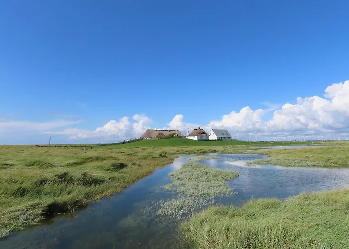 Grosse Warf Mit Rasenflaeche Appartement *